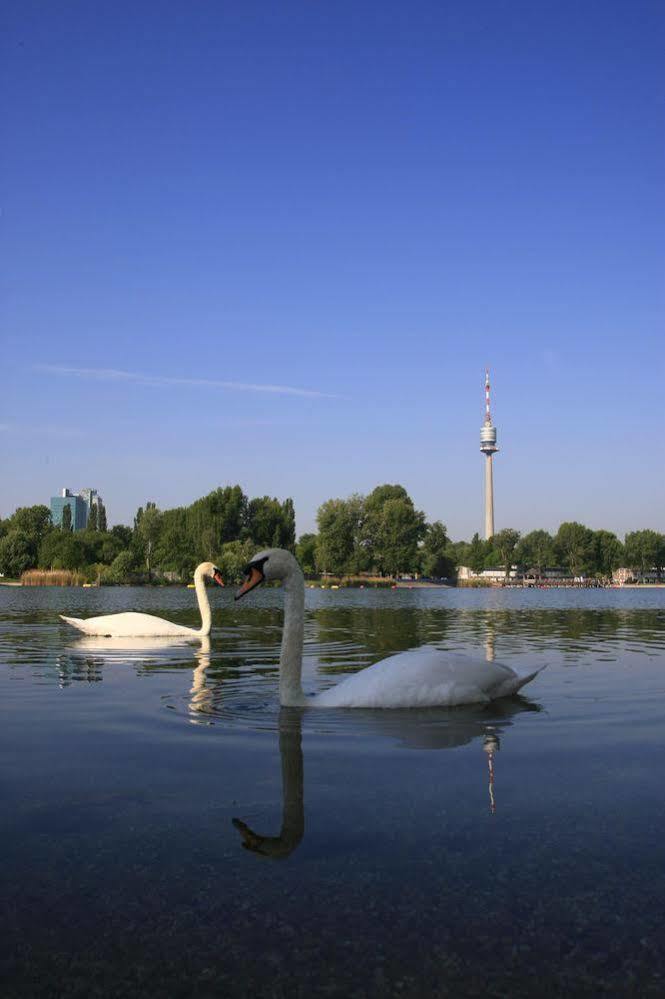Ajo Garden Terrace Studio Apartments - Self-Check-In Vienna Luaran gambar